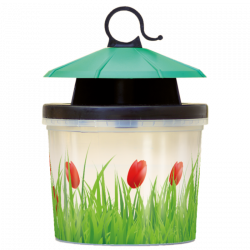 Mouch'clac fenêtre par 10 PROTECTA