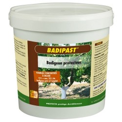 Badipast 1.5L PROTECTA