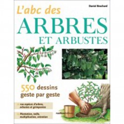 L'ABC des arbres et arbustes