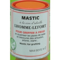 Mastic a greffer 100g LHOMME LEFORT