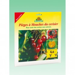 Pièges à mouches du cerisier