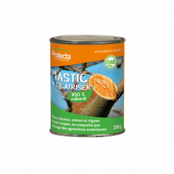 Mastic à greffer phytopast G 1Kg PROTECTA