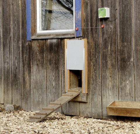 Automatisme Porte Pour Poulailler