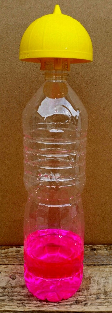 Lot De 30 Pièges à Insectes Adhésifs Jaunes - 3 Formes De Double Face à