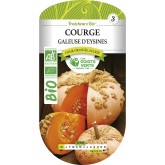 COURGE GALEUSE D´EYSINES BIO