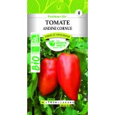 TOMATE ANDINE CORNUE BIO