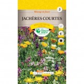 JACHERE COURTE