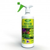 PREVENTION DES MALADIES FONGIQUES